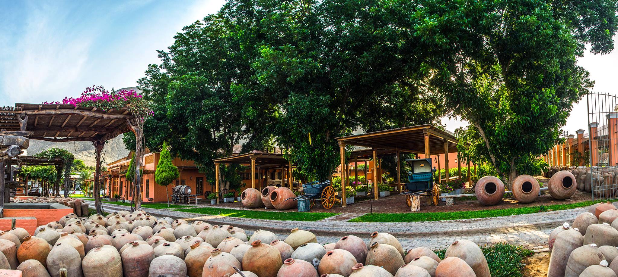 4.WINE & PISCO TOURISM