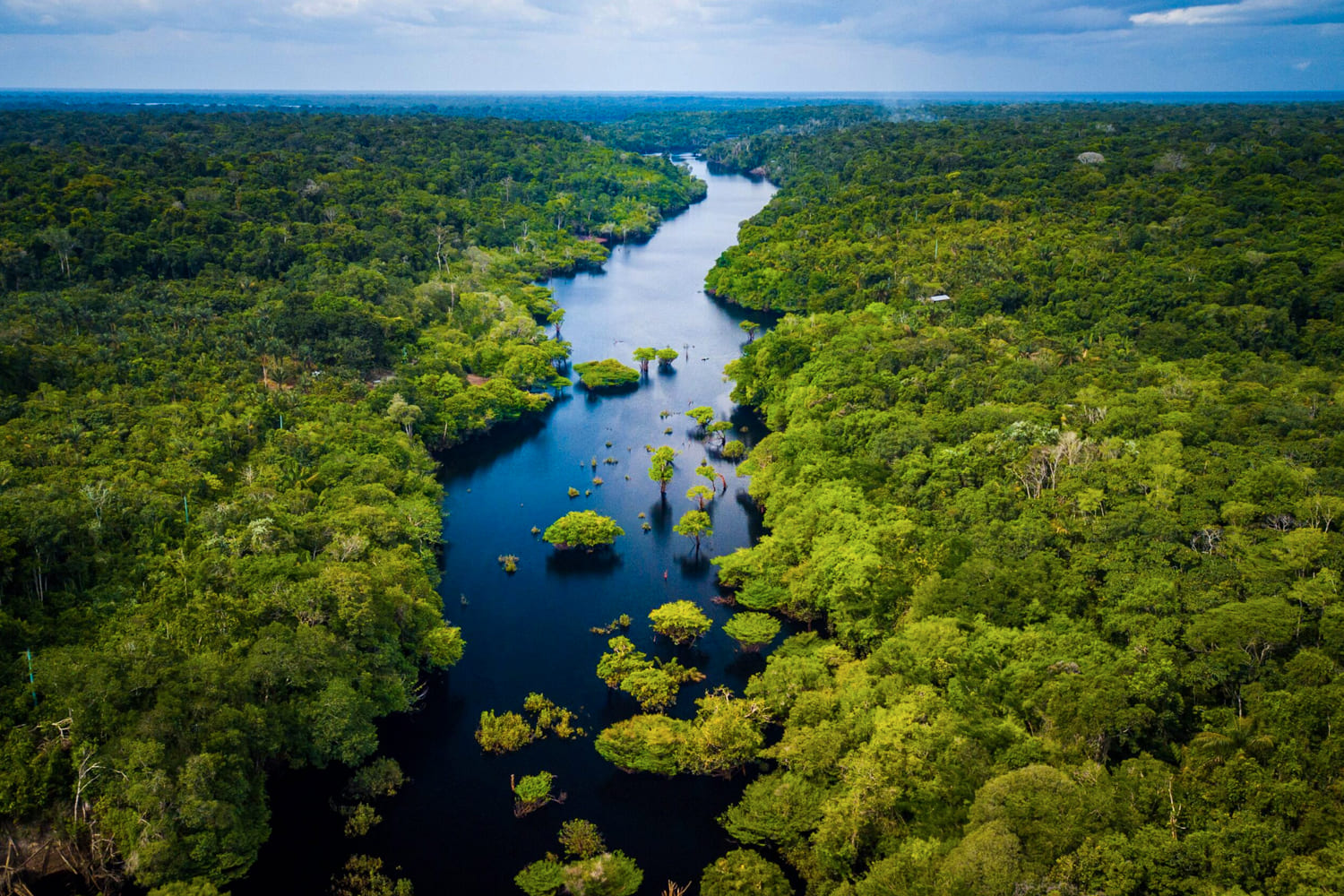 Manu National Park